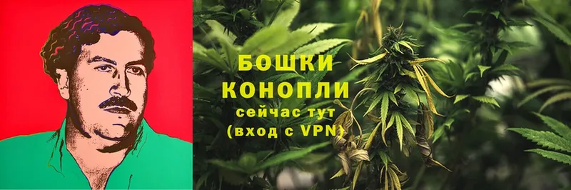 Бошки Шишки OG Kush  где продают   blacksprut как зайти  Касли 