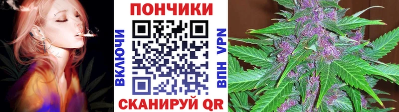 Бошки марихуана марихуана Касли